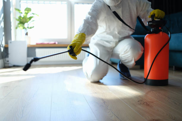 Reliable Odor Removal contractor in Prairie Grove, IL by Trauma Clean Pros